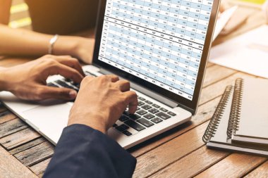 Bilgisayar ekranındaki muhasebe yazılımı finansal hesap tablolarını ve kurumsal iş dengelerini gösteriyor. Muhasebeciye iyi bir muhasebe sunuyor.