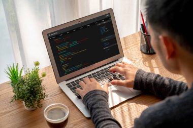 Model uygulama ve program kodlaması için bilgisayar ekranında yazılım geliştirme programlama