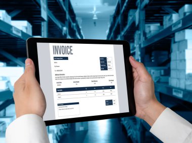 Muhasebe uygulamasından gelen fatura bilgisayar ekranında. Şirket işlerinin finans ve bütçesi için bilgisayar programı. Rahatça..