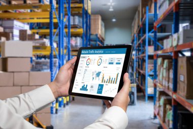 Computer software for website traffic analytics data on computer screen. Concept of SEO search engine optimization and customer targeting for online business snugly