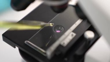 Bilimsel laboratuar araştırmacısı mikroskobik slayt üzerine sıvı örneği bırakır. Tıbbi muayene için ya da yeni teşhis aleti için. Mikrobiyolog ya da tıp çalışanı laboratuarda deney yapıyor. Ağır çekim. Katı.