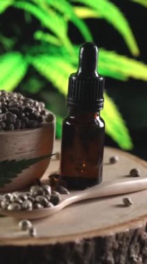 Kenevir tohumları kasedeki marihuana tohumu yığınına düşüp zıplıyor ve kenevir bitkisinin arka planında yakın plan çekimleri yapıyor. Tıbbi ürün için yasallaştırılmış kenevir tohumu ve kenevir CBD yağı