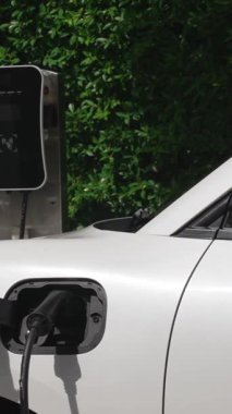 Elektrikli araba parkı ve şarj istasyonunun yanında şarj edilen enerji konseptinin sürdürülebilirliği. Çevresel koruma için yenilenebilir enerji tarafından kullanılan elektrikli araç.