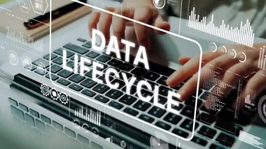 Dijital Analitik ve İstatistiksel Grafiklerle Dizüstü bilgisayarda Veri Yaşamı Döngüsü Konsepti ile Mesleki Müdahale. Asemptotik akıllı veri analitiği.