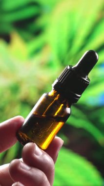 Yakından bir şişe yağlı kenevir tutarken ve damlacıkları kabın içine düşerken ölçerken kullanırken. Tıbbi kullanım için kenevir yaprağından CBD yağına kadar yasallaştırılmış esrar ürünleri.