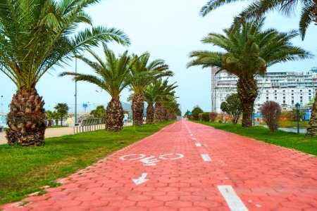 Photo for Cycle path across the entire embankment by the sea. The resort town of Batumi. - Royalty Free Image