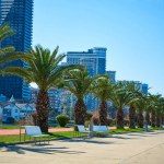 The modern resort town of Georgia Batumi. A neat line of palm trees on the embankment.