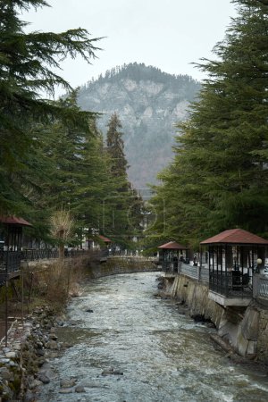 Téléchargez les photos : A natural mountain pesage of a wet, cold fall park along a mountain river. - en image libre de droit