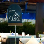 a pet-friendly cafe sign on a sunny summer terrace, inviting pet owners to relax and enjoy a meal with their furry friends. The warm, inviting atmosphere and picturesque surroundings