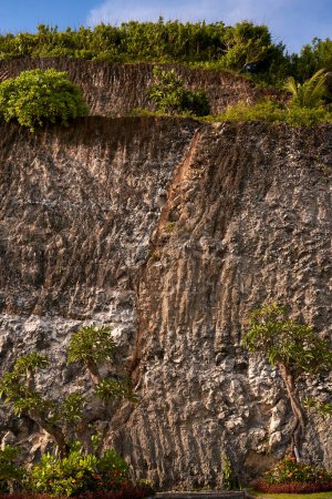 Téléchargez les photos : Le fond est une coupe d'une montagne de pierre avec des croissances. La texture de la falaise - en image libre de droit
