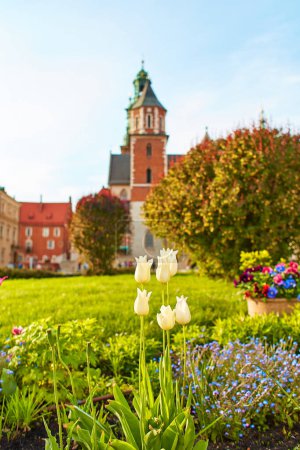 Dziedziniec jest pochowany w kwiatach i zieleni w starożytnym Zamku Krolewskim na Wawelu w centrum Krakowa