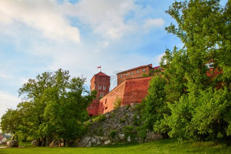 Stara czerwona cegła Zamek Krolewski na Wawelu otoczony jest zielonymi roślinami kwitnącymi w centrum Krakowa