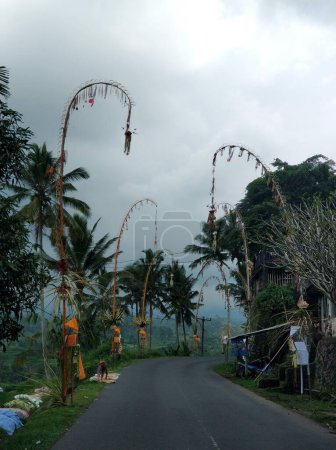 Téléchargez les photos : Une autoroute dans un village balinais est décorée avant les vacances. Bâtons de bambou traditionnels le long de la route. - en image libre de droit