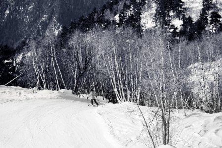 Foto de Descenso del esquiador en la pista de esquí nevada en el bosque en el día del sol. Montañas del Cáucaso en invierno. Hatsvali, región de Svaneti, Georgia. Imagen tonificada en blanco y negro. - Imagen libre de derechos
