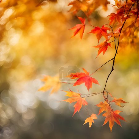 Photo for Abstract fall background with maple leaf, seasonal wallpapers - Royalty Free Image