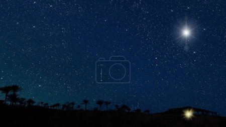 Foto de Un cielo nocturno en el bosque con estrellas y luna - Imagen libre de derechos