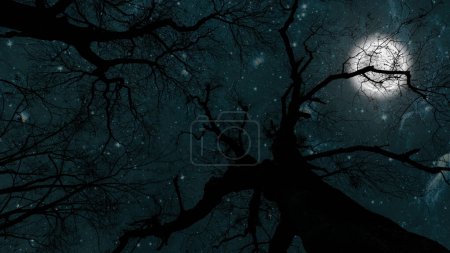 Téléchargez les photos : Un ciel nocturne dans la forêt avec des étoiles et la lune - en image libre de droit