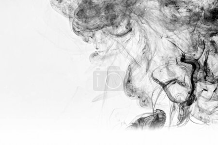 Téléchargez les photos : Fumée coupée sur les fonds blancs - en image libre de droit