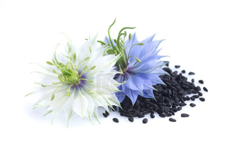 Photo for Black cumin flowers with seeds in closeup - Royalty Free Image