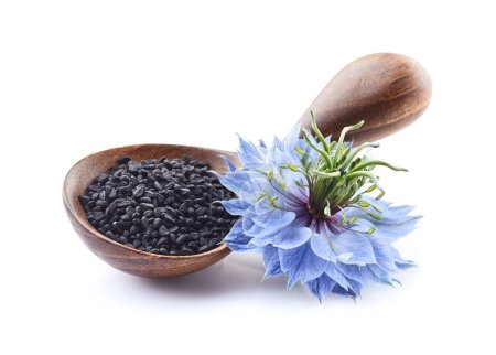 Téléchargez les photos : Graines de cumin noir avec fleur sur fond blanc ancien - en image libre de droit