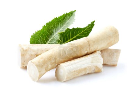 Photo for Horseradish root in closeup on white background - Royalty Free Image