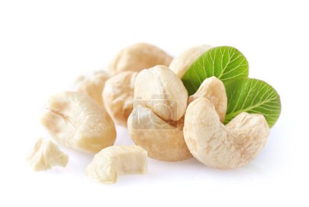 Photo for Cashew with leaves in closeup - Royalty Free Image