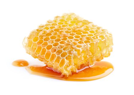 Téléchargez les photos : Nid d'abeille avec du miel sur fond blanc - en image libre de droit