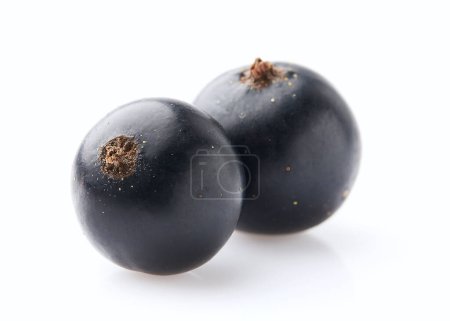 Photo for Black currant on white background - Royalty Free Image