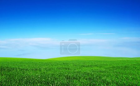 Foto de Campo sobre un fondo del cielo azul - Imagen libre de derechos