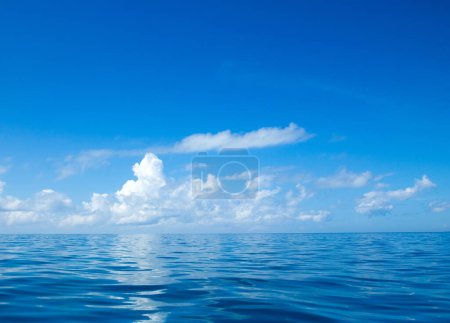 Photo for Sea and beach background with copy space - Royalty Free Image