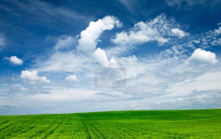 Téléchargez les photos : Champ vert et ciel bleu - en image libre de droit