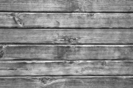 Photo for Wood texture. background old panels - Royalty Free Image