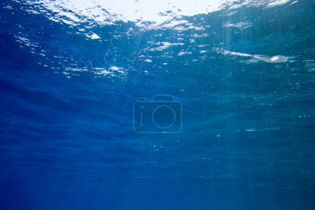 Foto de Tranquila escena submarina con espacio para copiar - Imagen libre de derechos