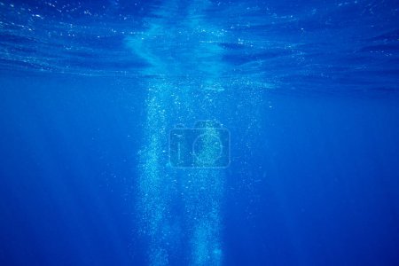 Foto de Tranquila escena submarina con espacio para copiar - Imagen libre de derechos