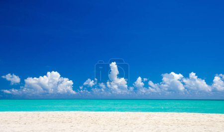 Foto de Isla tropical de Maldivas con playa de arena blanca y mar - Imagen libre de derechos