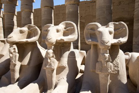 Photo for Africa, Egypt, Luxor, Karnak temple - Royalty Free Image