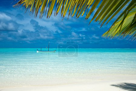 Téléchargez les photos : Île tropicale des Maldives avec plage de sable blanc et mer. palmier - en image libre de droit