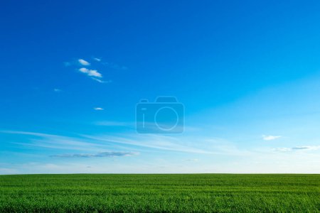 Téléchargez les photos : Champ vert et ciel bleu - en image libre de droit