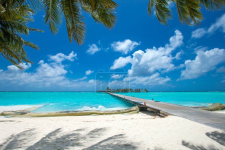 Foto de Isla tropical de Maldivas con playa de arena blanca y mar. palma - Imagen libre de derechos