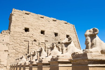 Foto de África, Egipto, Luxor, Karnak templo - Imagen libre de derechos