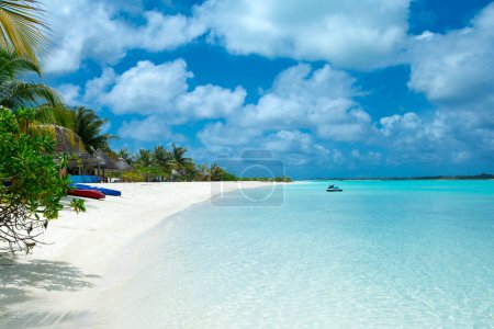 Foto de Isla tropical de Maldivas con playa de arena blanca y mar. palma - Imagen libre de derechos