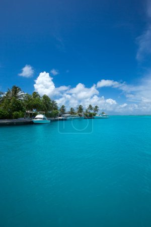 Photo for Beach and tropical sea. beach landscape - Royalty Free Image