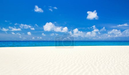 Photo for Tropical beach in Maldives - Royalty Free Image