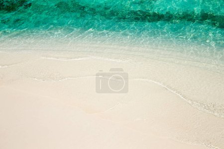 Téléchargez les photos : Plage tropicale aux Maldives avec lagon bleutropical - en image libre de droit