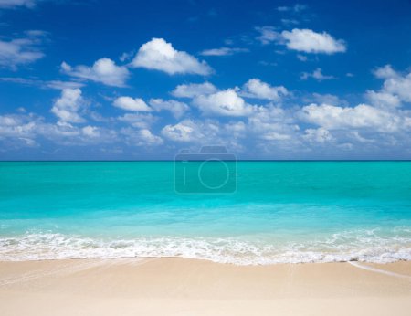 Photo for Tropical Maldives island with white sandy beach and sea - Royalty Free Image