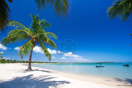 Photo for Beautiful beach and tropical sea - Royalty Free Image