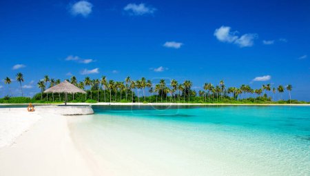 Foto de Playa tropical en Maldivas con pocas palmeras y laguna azul - Imagen libre de derechos