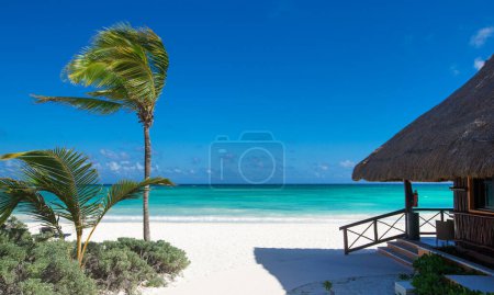 Téléchargez les photos : Île tropicale des Maldives avec plage de sable blanc et mer - en image libre de droit