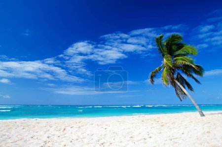 Foto de Playa del mar. Concepto de vacaciones y turismo
. - Imagen libre de derechos