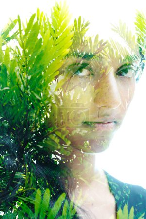 Téléchargez les photos : Portrait d'une femme regardant dans la caméra combiné avec des tiges vertes feuillues dans une technique de double exposition - en image libre de droit
